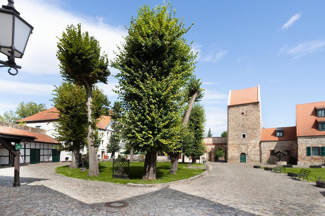 Wasserburg Zu Gommern Extérieur photo